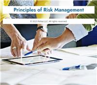 Principles of Risk Management