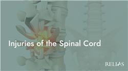 Injuries of the Spinal Cord