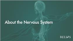 About the Nervous System