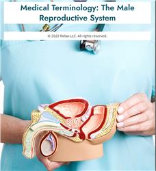 Medical Terminology: The Male Reproductive System