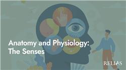 Anatomy and Physiology: The Senses