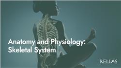 Anatomy and Physiology: Skeletal System